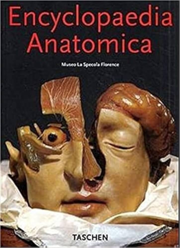 スペゴラ博物館人体解剖模型　Encyclopaedia Anatomica スペゴラ博物館人体解剖模型 Encyclopaedia Anatomica